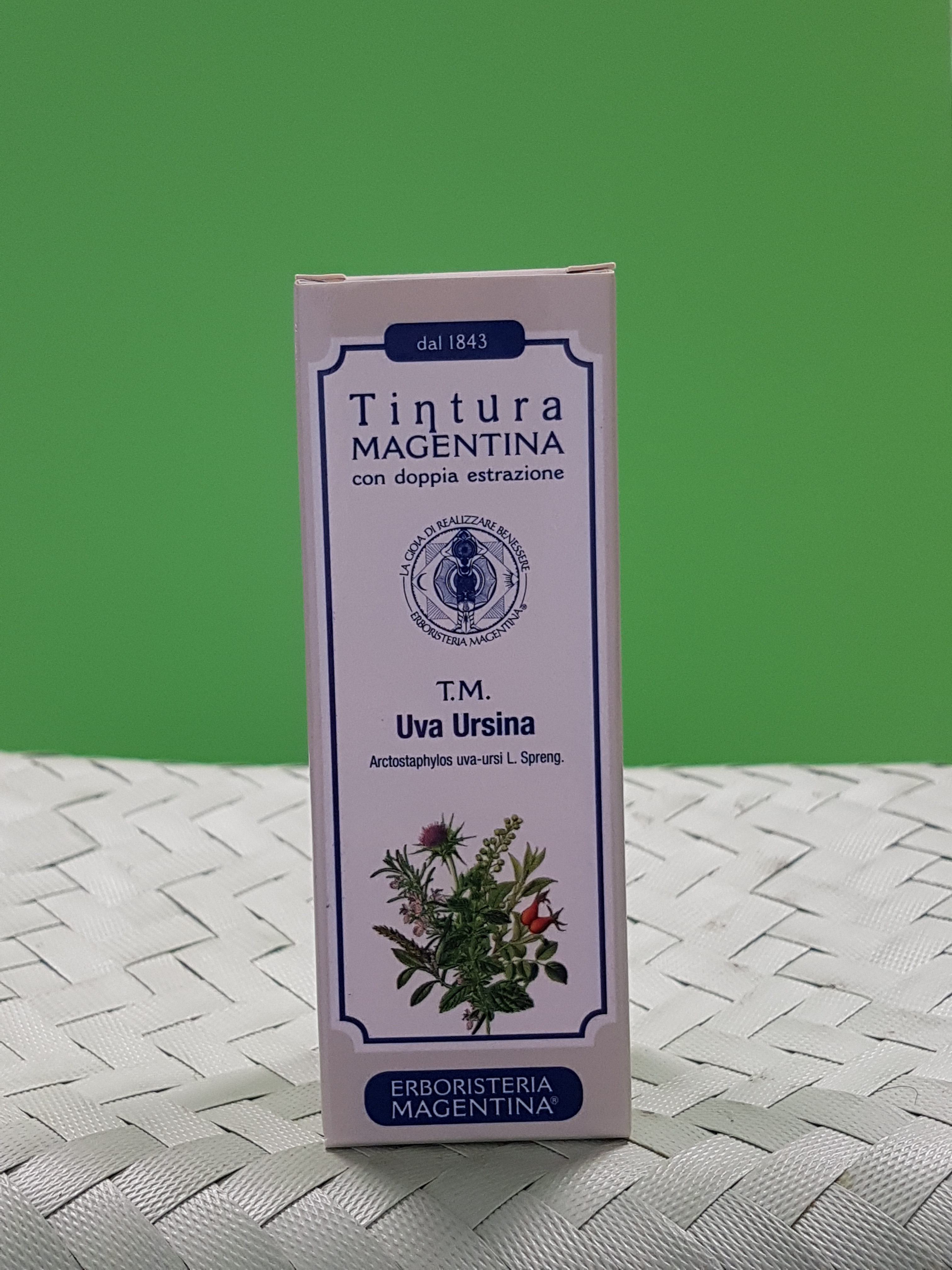 uva ursina prostatite cronica del