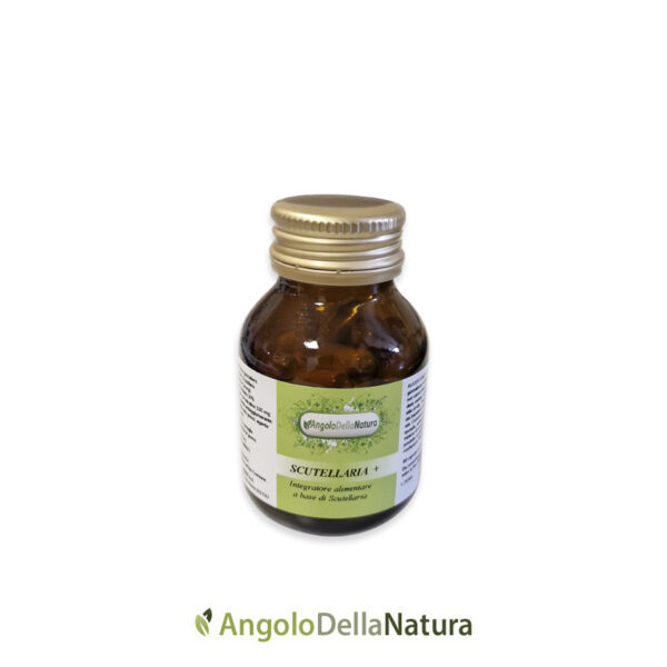 SCUTELLARIA2